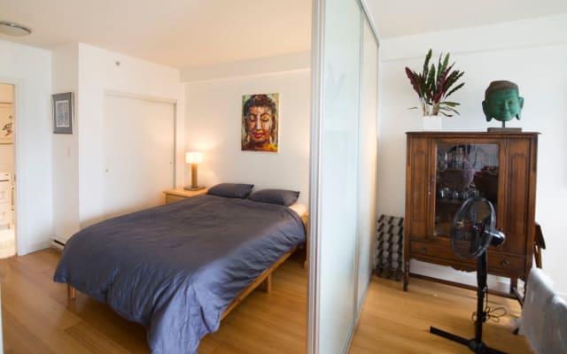 Anúncio de David em misterb&b - Bedroom showing sliding glass door for privacy if others are using the pull-out couch and separate entrance to bathroom.