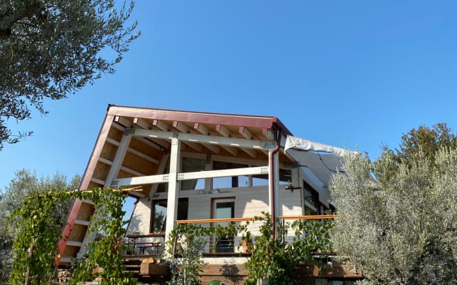 Cottage among the olive trees