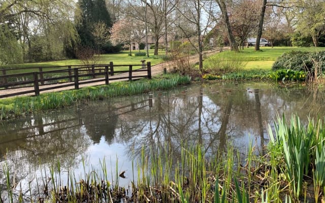 New Forest B&B