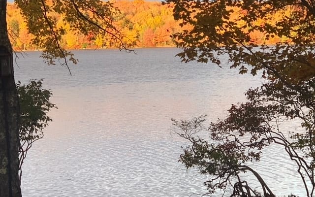 Stone House Lake Cottage