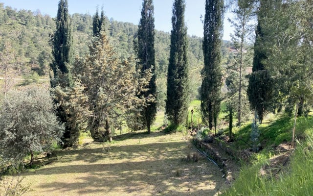 Casa idílica e tranquila para partilhar na floresta perto de Nicósia