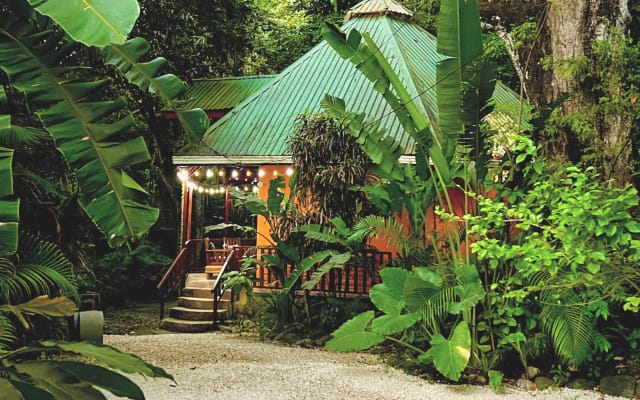 Casa na árvore rodeada de selva, a poucos passos da praia