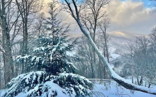 Clothing Optional: Award-Winning Mountaintop Retreat in the Blue Ridge