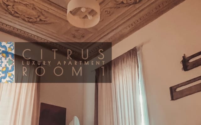 CITRUS LUXURY APARTMENT- Suite&Art to exclusive use - up to 3 bedrooms