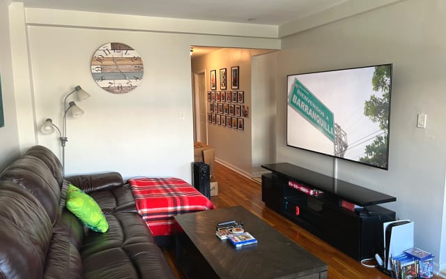 Large room / 20 min from NYC / Clothing optional  - Picture 17