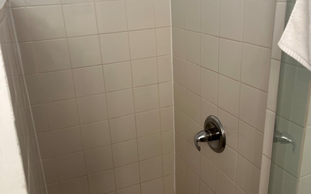 STUDIO SUITE OCEAN DRIVE - Picture 15