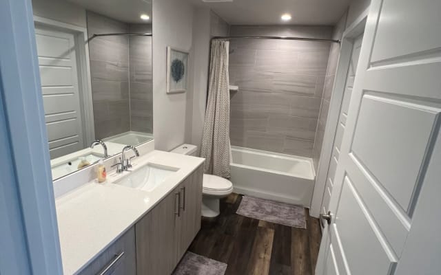 Modern Room With Private Bathroom  - Picture 4