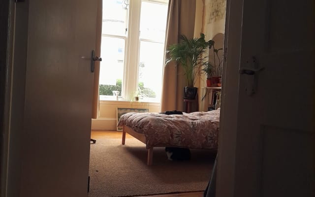 Luminoso espacioso doble con gato interior