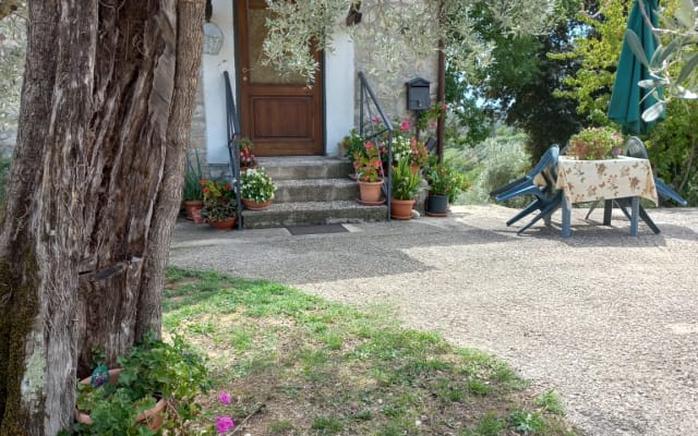 caratteristico casaletto indipendente in pietra tra gli ulivi