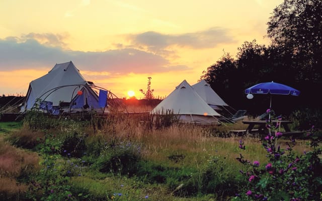 Glamping unique à la ferme écologique gay Modest & Kamiel.