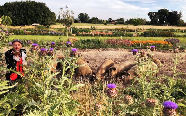 Glamping único en la granja ecológica de propiedad gay Modest & Kamiel.