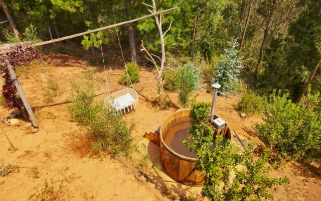 Magische Hütte in den Wald zwischen See und Meer eingebettet.