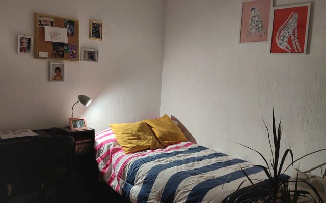 Gemütliches Zimmer in einer Wohnung einen Block von Colonia Roma...