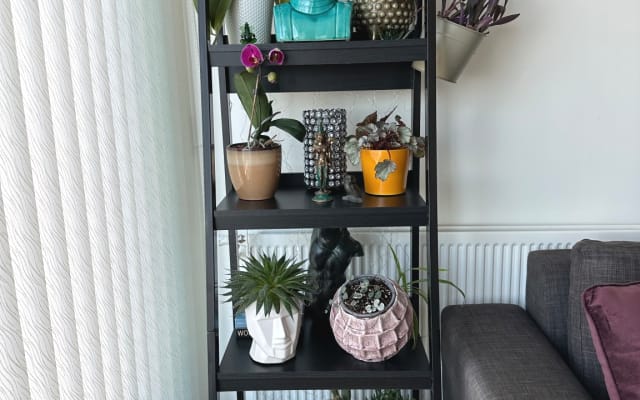 Modern apartment in Hayes