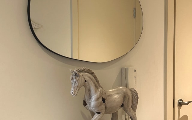 Modern apartment in Hayes