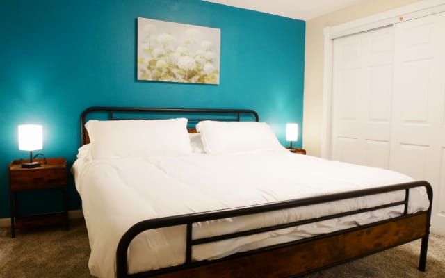 Private Basement, Bathroom, Living Room in Morrison close to Red Rocks - Picture 10