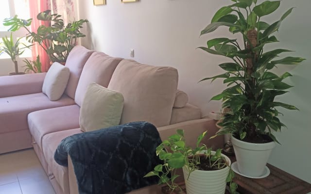 Quarto privado num apartamento a 5 minutos da zona ambiental.