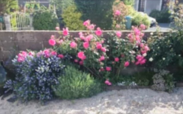 ¡La P'tite Bicoque d'Ardenay ! ¡Su pequeño y acogedor nido!