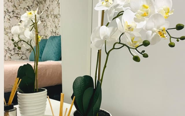 Big Room in the center Bairro Alto  - Picture 4