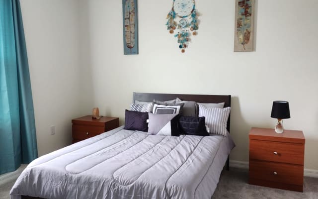 Beautiful room and private bathroom Wesley Chapel Florida