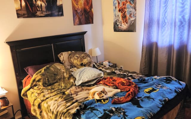 One Bedroom!