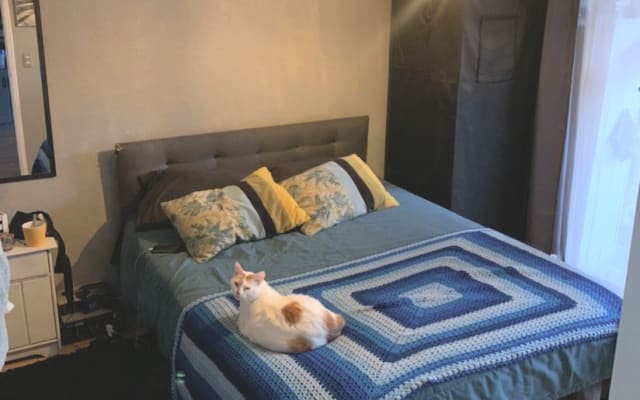 I share your stay in the center of gay Santiago, good host