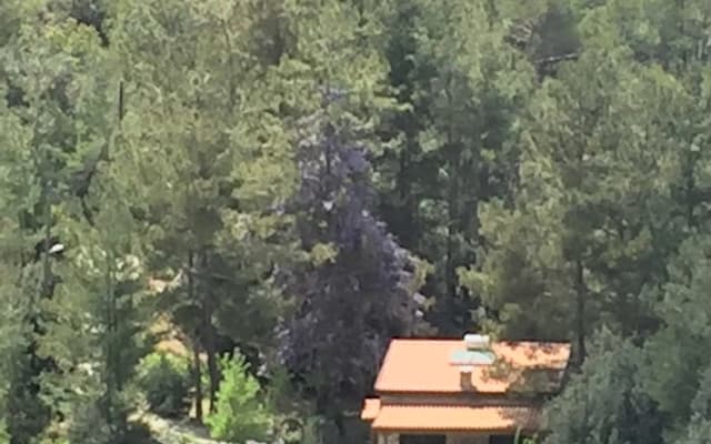 Casa Platania