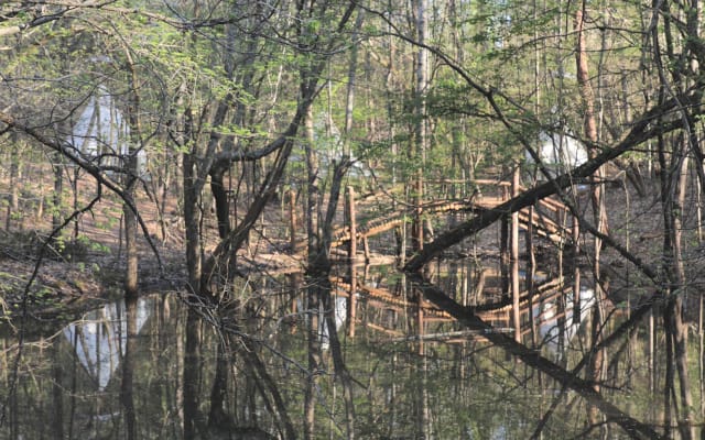 Primitives, rustikales Tipi & Naturerlebnis ~Shinning Owl