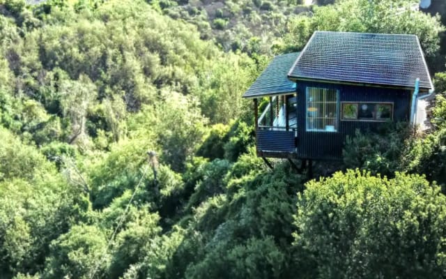 Cosy Forest Studio | Nature Lovers Dream