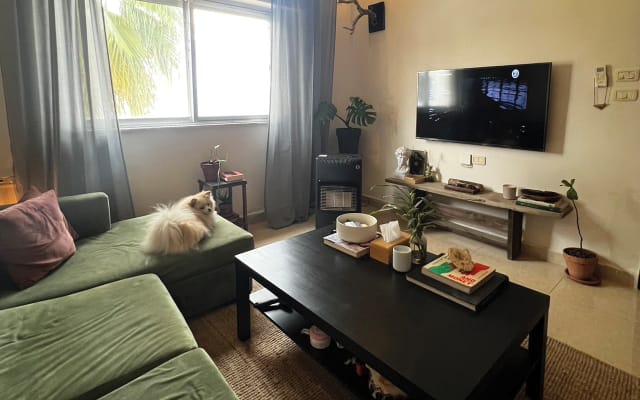 Cozy and loving apartment in the heart of Amman.