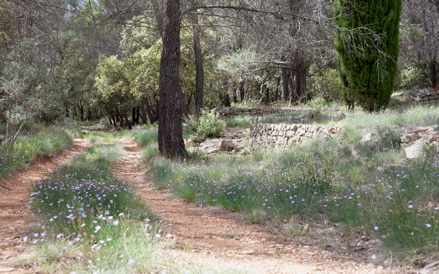 Bastidon provençal off the grid