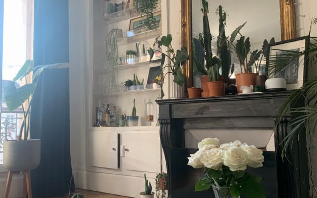 Le Marais 1 bedroom