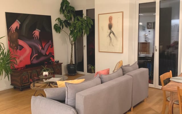 Beautiful apartment in the city centre