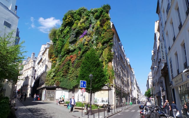 charming single room in Paris hypercentre apartment - Picture 10