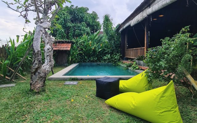 MONORoom Maison tropicale avec piscine - Photo 23
