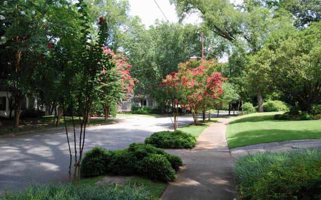 (BC1bB) Affordable Condo in the Center of Atlanta - Picture 17