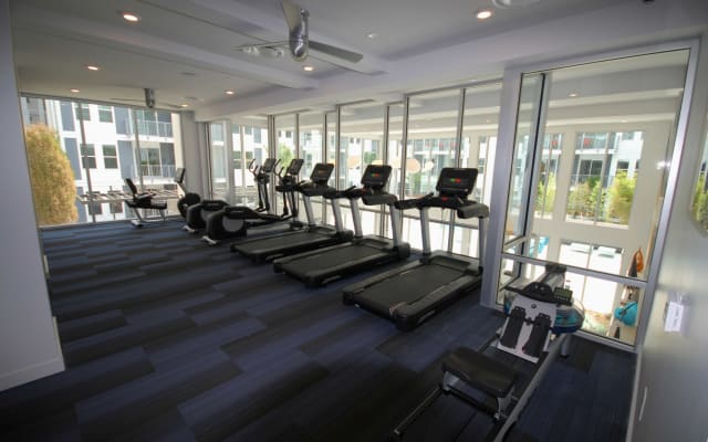(S1BL) Bright and Modern 1-BR w/ Free Parking