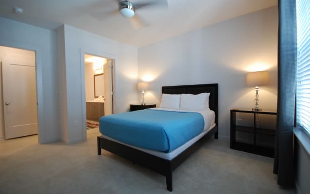 (S1BL) Bright and Modern 1-BR w/ Free Parking - Picture 11