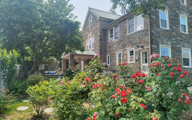 Kun's listing on misterb&b - Backyard