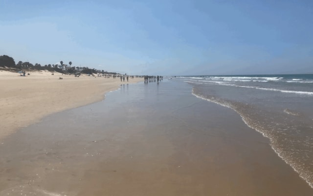 Camera privata in un appartamento a 10 minuti a piedi dalla spiaggia.