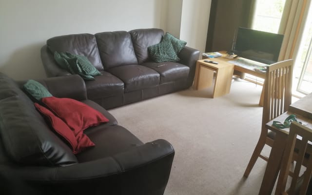 Comfy couch in the living room area - Picture 8