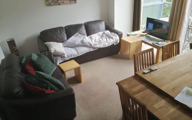 Comfy couch in the living room area - Picture 11