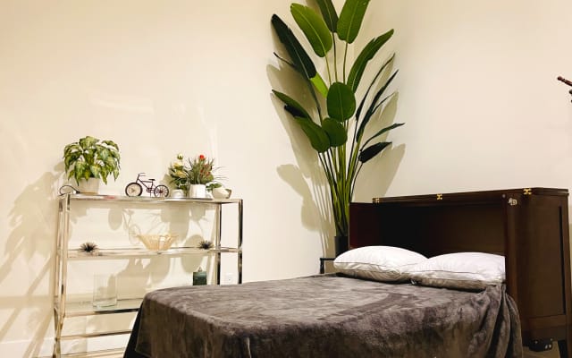 White Lux Loft in the most prestigious part of DTLA, roof jaccouzi