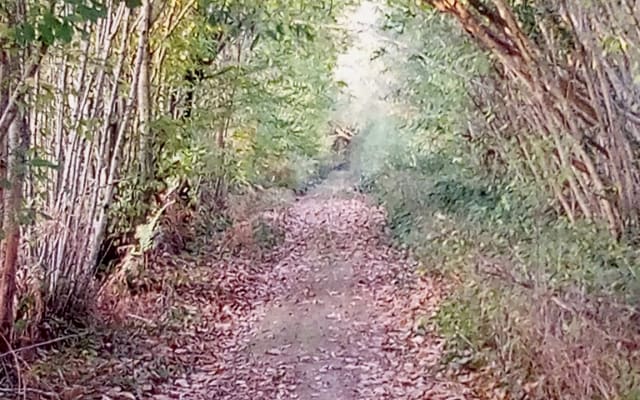 Ökotourismus, Urlaub im Grünen auf dem Land in der Berrichonne