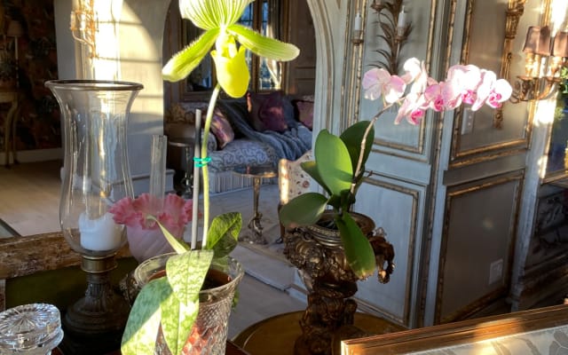 Mon Plaisir Luxe country estate