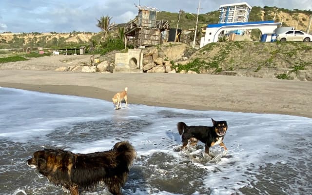 Esta é uma unidade de moradia em banda, em frente à praia. Quarto e...