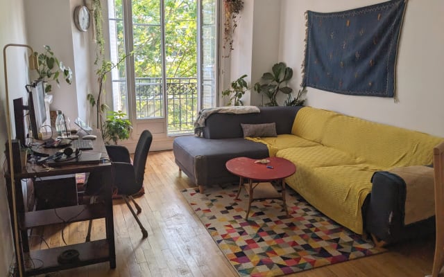 Spacious apartment with private room next to park Buttes-Chaumont