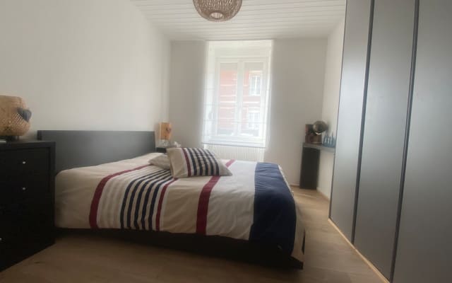 1 habitación con 1 cama doble en Colmar