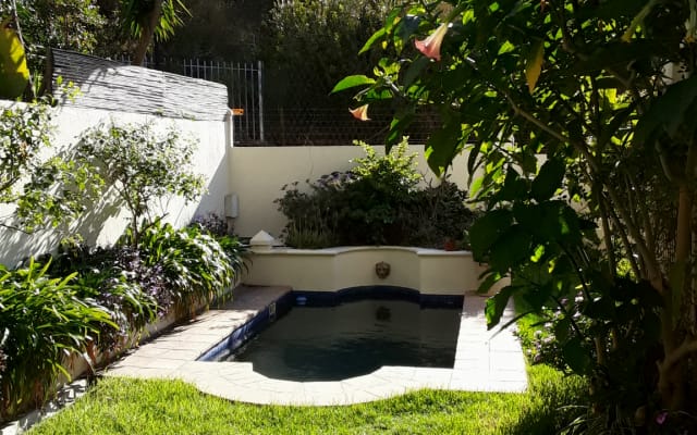 House on the Mountain in the City Bowl Cape Town - Picture 10