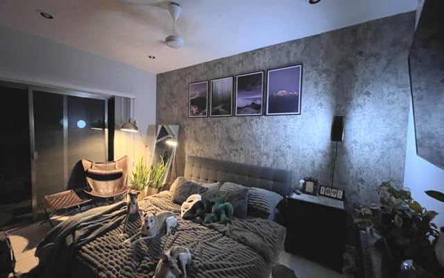 Hallo ich habe eine Wohnung in Playa del Carmen, ich habe 3 Whippets
